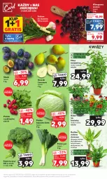 Gazetka promocyjna Kaufland - Mocny Start - Gazetka - ważna od 09.08 do 09.08.2023 - strona 9 - produkty: Por, Gra, Róża, Gruszki, Winogrona, Wino, Grunt, Rzodkiewka