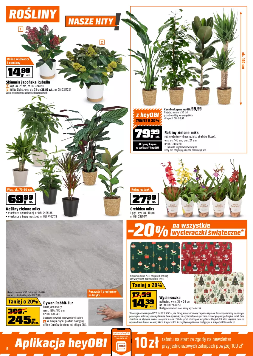 Gazetka promocyjna Obi - Gazetka OBI - ważna 07.11 do 02.12.2025 - strona 6 - produkty: Bell, Bella, Choinka, Dywan, Inka, Intel, Sok, Wycieraczka