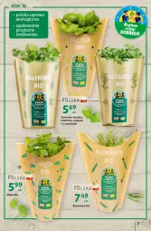 Gazetka promocyjna Auchan - Szkoła oszczędzania Temat PrzeSmaczne oferty Hipermarkety - Gazetka - ważna od 10.08 do 10.08.2022 - strona 7 - produkty: Kolendra, Bazyl, Bazylia, Mięta