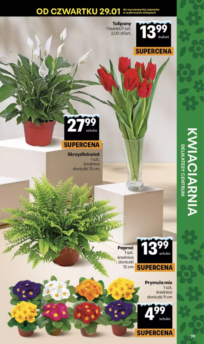 Gazetka promocyjna Delikatesy Centrum - Franczyza DC05 Czwartek - ważna 29.01 do 04.02.2026 - strona 39 - produkty: Bukiet, Prymula, Tulipan