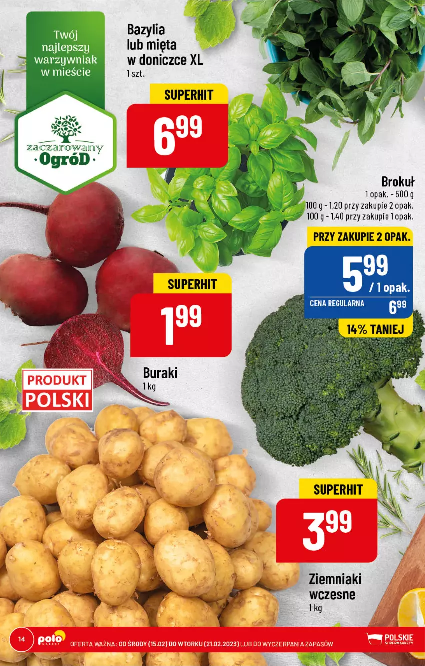 Gazetka promocyjna PoloMarket - Gazetka pomocyjna - ważna 15.02 do 21.02.2023 - strona 14 - produkty: Mięta, Ogród, Ziemniaki