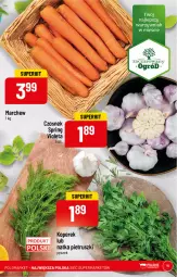 Gazetka promocyjna PoloMarket - Gazetka pomocyjna - Gazetka - ważna od 21.02 do 21.02.2023 - strona 15 - produkty: Czosnek, Natka pietruszki, Ogród
