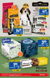Gazetka promocyjna PoloMarket - Gazetka pomocyjna - Gazetka - ważna od 21.02 do 21.02.2023 - strona 53 - produkty: Ręcznik, Gala