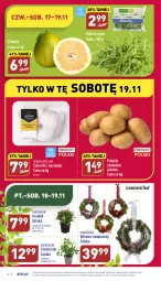 Gazetka promocyjna Aldi - Pełny katalog - Gazetka - ważna od 19.11 do 19.11.2022 - strona 26 - produkty: Kurczak, Rukola, Mięsne specjały, Ziemniaki, Wieniec, Pomelo