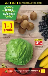 Gazetka promocyjna Biedronka - Od poniedzialku - Gazetka - ważna od 11.11 do 11.11.2023 - strona 22 - produkty: Sałata lodowa, Klej, Kiwi, Sałat