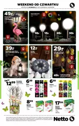 Gazetka promocyjna Netto - Wielkanoc - Gazetka - ważna od 28.03 do 28.03.2021 - strona 12 - produkty: Róża, Owoce, Lampa