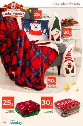 Gazetka promocyjna Dealz - Gazetka - ważna od 24.12 do 24.12.2024 - strona 8 - produkty: Pled, Poduszka dekoracyjna, Poduszka, Skrzat