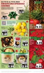 Gazetka promocyjna Kaufland - Gazetka tygodnia - Gazetka - ważna od 19.12 do 19.12.2023 - strona 39 - produkty: Stojak, Cytryny, Kask, Pojemnik, Gwiazda