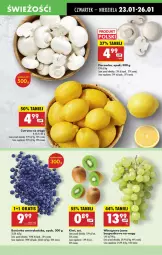 Gazetka promocyjna Biedronka - Od Czwartku - Gazetka - ważna od 29.01 do 29.01.2025 - strona 21 - produkty: Piec, Gra, Borówka, Borówka amerykańska, Kiwi, Leon, Pieczarka, Wino