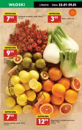 Gazetka promocyjna Biedronka - Od Czwartku - Gazetka - ważna od 29.01 do 29.01.2025 - strona 51 - produkty: Pomidorki, Cytryny, Pomarańcze, Koper włoski