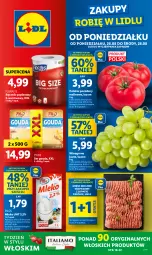 Gazetka promocyjna Lidl - GAZETKA - Gazetka - ważna od 28.08 do 28.08.2024 - strona 1 - produkty: Mięso mielone, Ser, Gin, Gra, Papier, Pilos, Ręcznik, Gouda, Flora, Wino, Pomidory, Mięso, Mleko