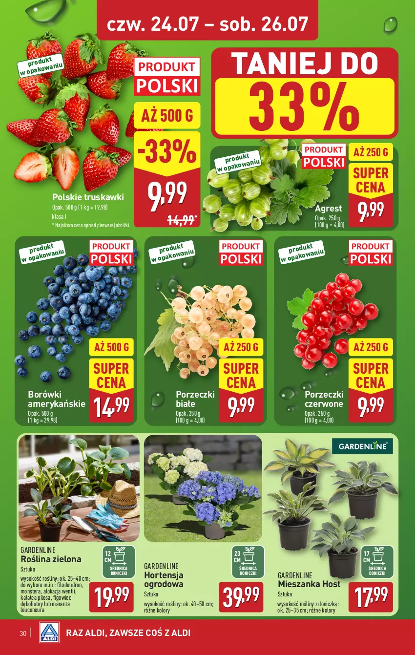 Gazetka promocyjna Aldi - Pełna oferta - ważna 21.07 do 26.07.2025 - strona 30 - produkty: Gres, Pilos, Por, Porzeczki czerwone, Sok, Tera, Truskawki