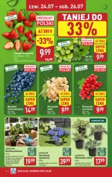 Gazetka promocyjna Aldi - Pełna oferta - Gazetka - ważna od 26.07 do 26.07.2025 - strona 30 - produkty: Sok, Por, Truskawki, Porzeczki czerwone, Tera, Pilos, Gres