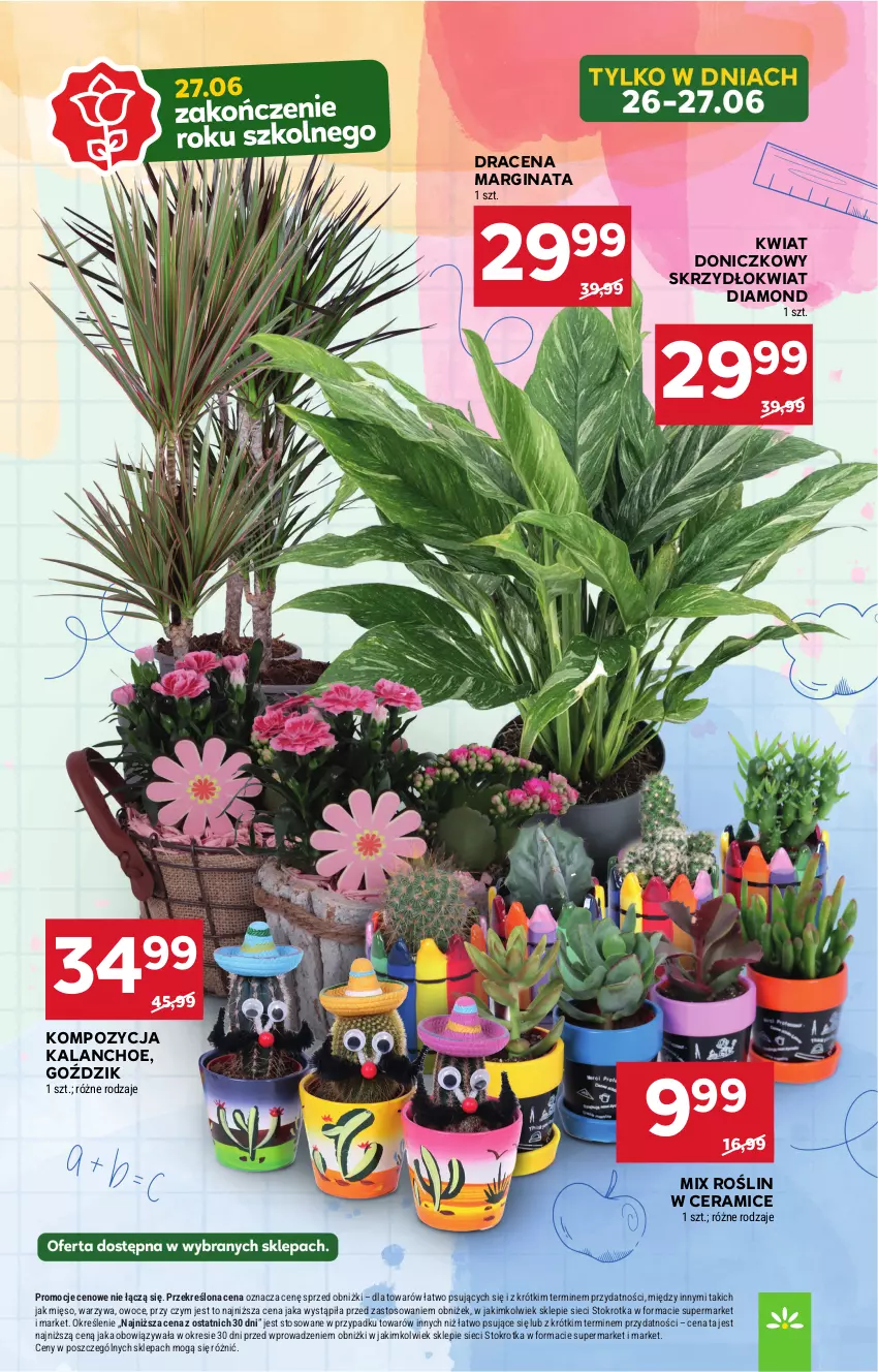 Gazetka promocyjna Stokrotka - Supermarket - ważna 26.06 do 02.07.2025 - strona 7 - produkty: Gin, Kalanchoe, Mięso, Owoce, Warzywa