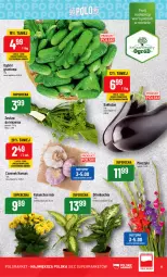 Gazetka promocyjna PoloMarket - Gazetka pomocyjna - Gazetka - ważna od 08.08 do 08.08.2023 - strona 11 - produkty: NBA, Chia, Kalanchoe, Grunt, Harnaś, Miecz, Fa