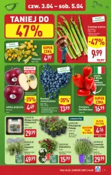 Gazetka promocyjna Aldi - Pełna oferta - Gazetka - ważna od 05.04 do 05.04.2025 - strona 35 - produkty: Sok, Pomidory, Jabłka