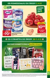 Gazetka promocyjna Stokrotka - Supermarket - Gazetka - ważna od 04.12 do 04.12.2024 - strona 5 - produkty: Papier, Ręcznik, Ręczniki papierowe, Pomidory, HP