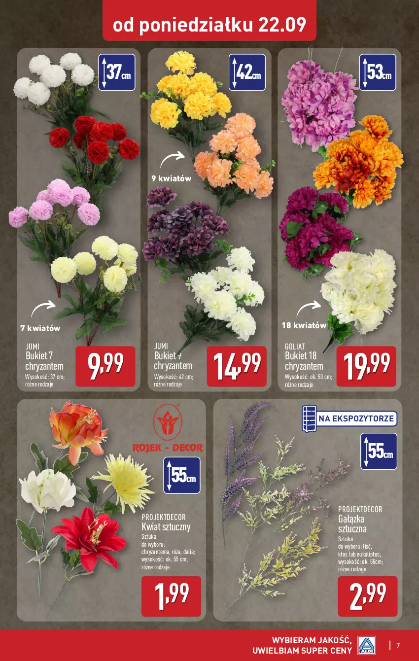 Gazetka promocyjna Aldi - Artykuły przemysłowe i tekstylia - ważna 22.09 do 27.09.2025 - strona 7 - produkty: Bukiet, Chryzantema, Róża, Sok
