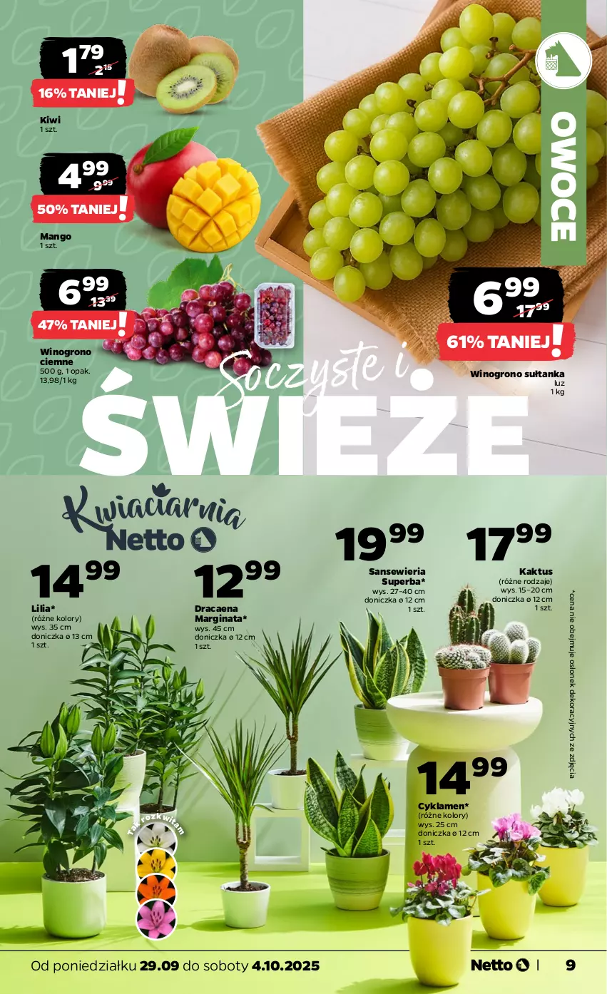 Gazetka promocyjna Netto - Od Poniedziałku - ważna 29.09 do 04.10.2025 - strona 9 - produkty: Cyklamen, Gin, Kaktus, Kiwi, Mango, Owoce, Wino