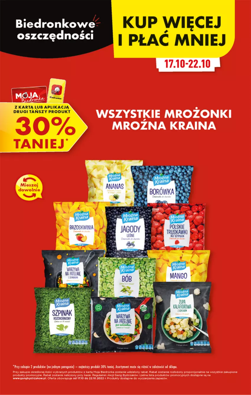 Gazetka promocyjna Biedronka - Ale tydzień - ważna 17.10 do 22.10.2022 - strona 48 - produkty: Por