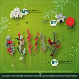 Gazetka promocyjna Stokrotka - Katalog Boże Narodzenie! - Gazetka - ważna od 29.12 do 29.12.2025 - strona 24 - produkty: Warzywa, Poinsecja, Bukiet, Owoce, Mięso