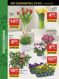 Gazetka promocyjna Delikatesy Centrum - NOWA GAZETKA Delikatesy Centrum od 27 marca! 27.03-2.04.2025 - Gazetka - ważna od 02.04 do 02.04.2025 - strona 18 - produkty: Tulipan, Bukiet
