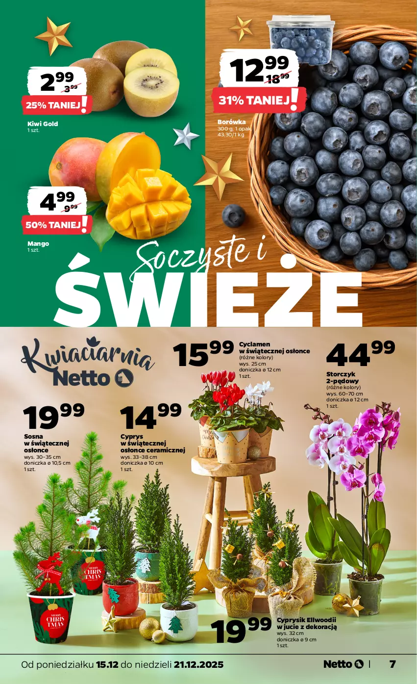 Gazetka promocyjna Netto - Od Poniedziałku - ważna 15.12 do 21.12.2025 - strona 7 - produkty: Borówka, Cyprysik, Kiwi, Mango, Sos, Storczyk