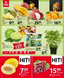 Gazetka promocyjna Selgros - Oferta spożywcza - Gazetka - ważna od 04.01 do 04.01.2023 - strona 2 - produkty: Sałatka, Sok, Ananas, Sałat, Limonka, Wino, Mango, Melon, Mięta, Liczi