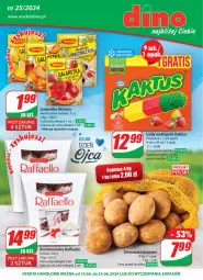 Gazetka promocyjna Dino - Gazetka 25 / 2024 - Gazetka - ważna od 25.06 do 25.06.2024 - strona 1 - produkty: JBL, Gra, Kaktus, Winiary, Ziemniaki, Raffaello, Lody, Galaretka, Ferrero, Gala, Fa