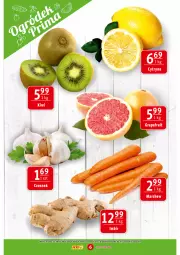 Gazetka promocyjna Prim Market - Gazetka - ważna od 18.01 do 18.01.2023 - strona 6 - produkty: Czosnek