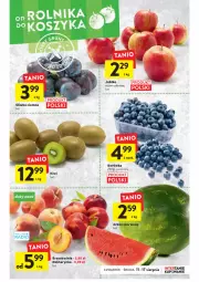Gazetka promocyjna Intermarche - Gazetka - ważna od 17.08 do 17.08.2022 - strona 15 - produkty: AEG, Borówka, Kiwi, Nektarynka, Nektar