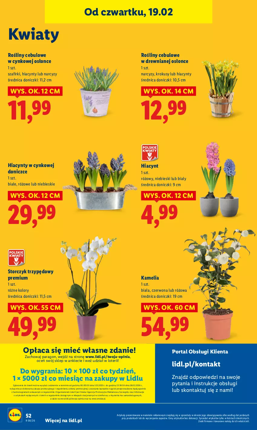 Gazetka promocyjna Lidl - GAZETKA - ważna 19.02 do 21.02.2026 - strona 52 - produkty: Cynk, Gra, Hiacynt, Krokus, Laur, Mola, Narcyz, Por, Portal, Storczyk