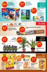 Gazetka promocyjna Delikatesy Centrum - Gazetka Delikatesy Centrum - Gazetka - ważna od 17.03 do 17.03.2021 - strona 31 - produkty: Piec, Kurczak, Warzywa, Sos, Mop, Papier, Worki na śmieci, Friskies, Palma, Vileda, Worki na śmiec, Papier do pieczenia, Pedigree, Folia aluminiowa