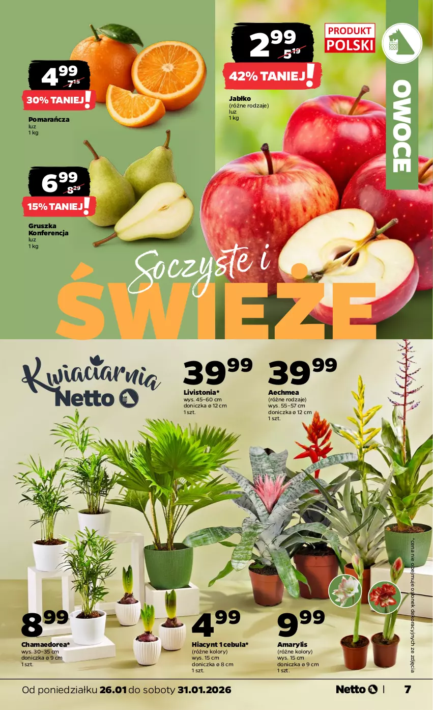 Gazetka promocyjna Netto - Od Poniedziałku - ważna 26.01 do 31.01.2026 - strona 7 - produkty: Amarylis, Cebula, Hama, Hiacynt, Owoce