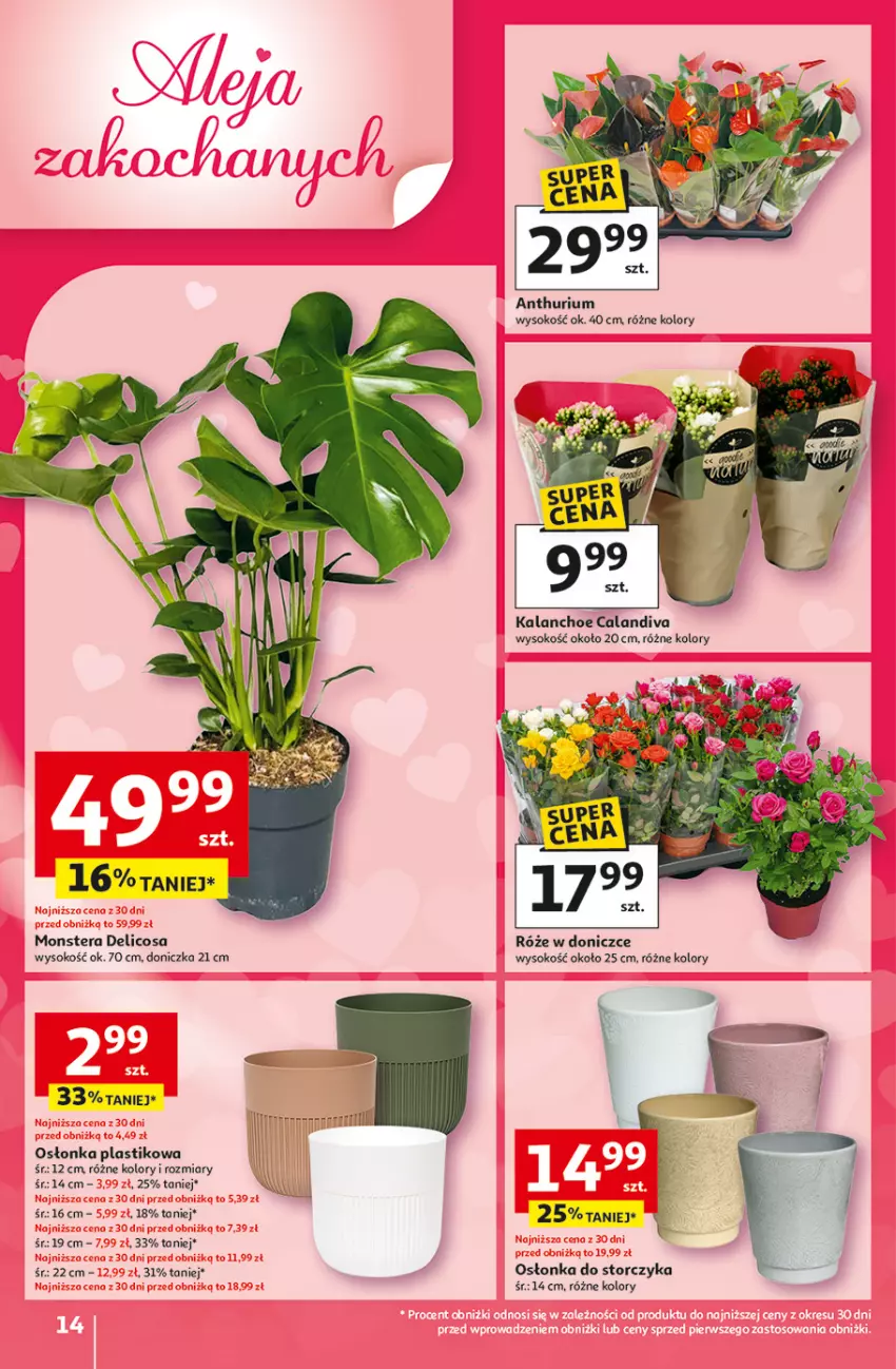 Gazetka promocyjna Auchan - 30 Lat Hipermarket - ważna 05.02 do 11.02.2026 - strona 14 - produkty: Kalanchoe, Osłonka, Sok, Storczyk, Tera