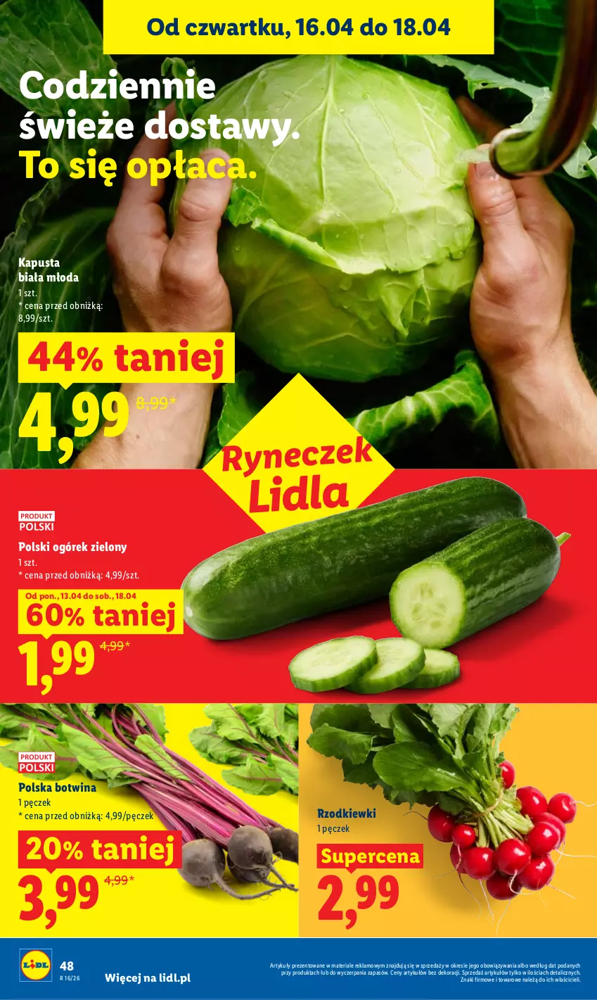 Gazetka promocyjna Lidl - Gazetka ważna od 16.04 do 18.04 - ważna 16.04 do 18.04.2026 - strona 48 - produkty: Ogórek