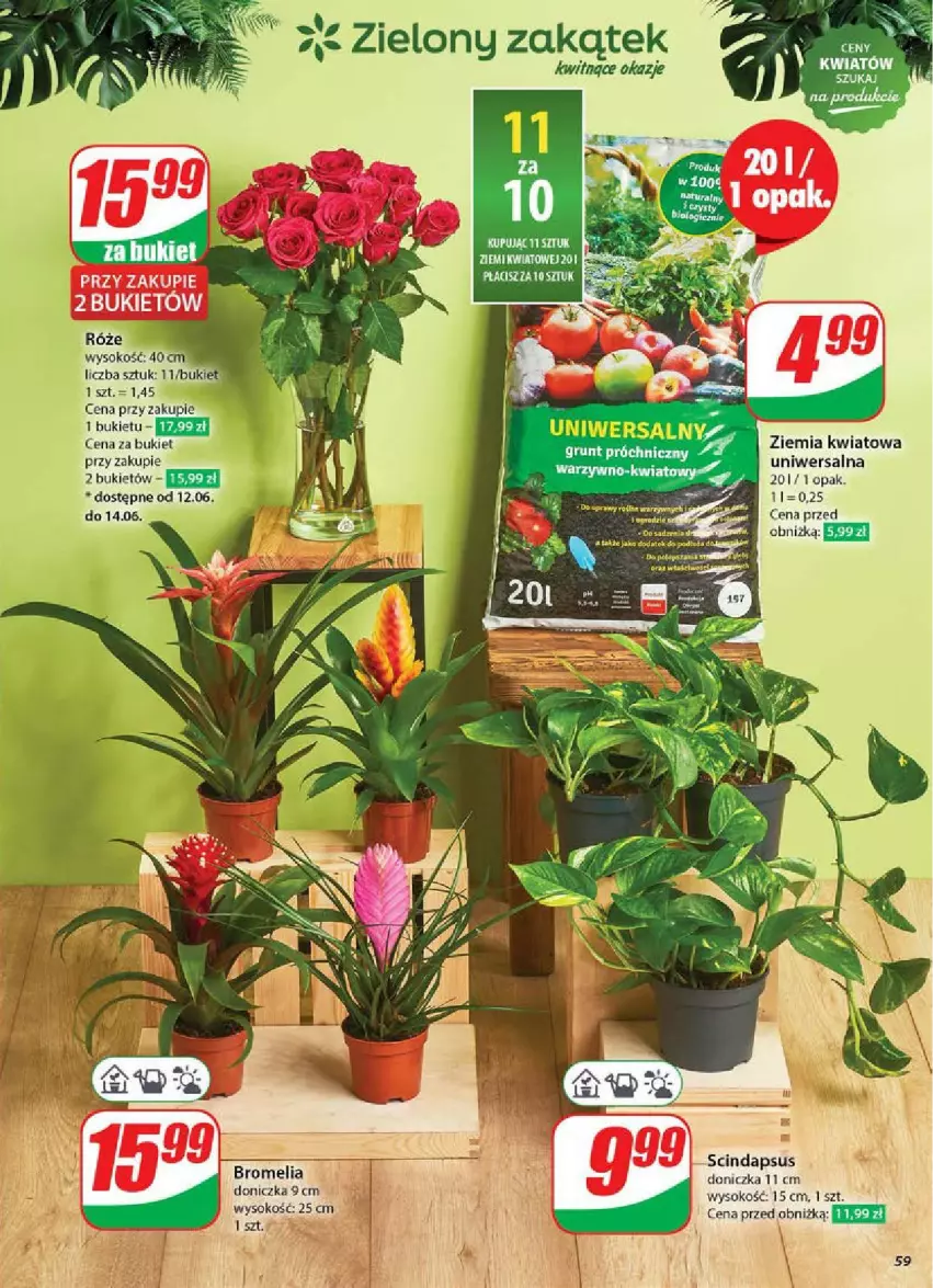 Gazetka promocyjna Dino - ważna 11.06 do 17.06.2025 - strona 55 - produkty: Bromelia, Bukiet, EPEE, Sok