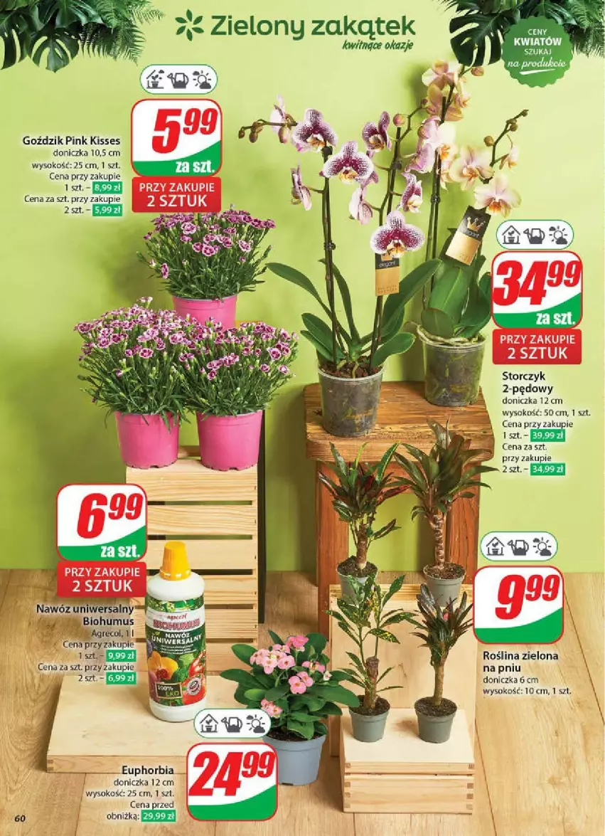 Gazetka promocyjna Dino - ważna 11.06 do 17.06.2025 - strona 57 - produkty: Biohumus, Mus, Sok, Storczyk