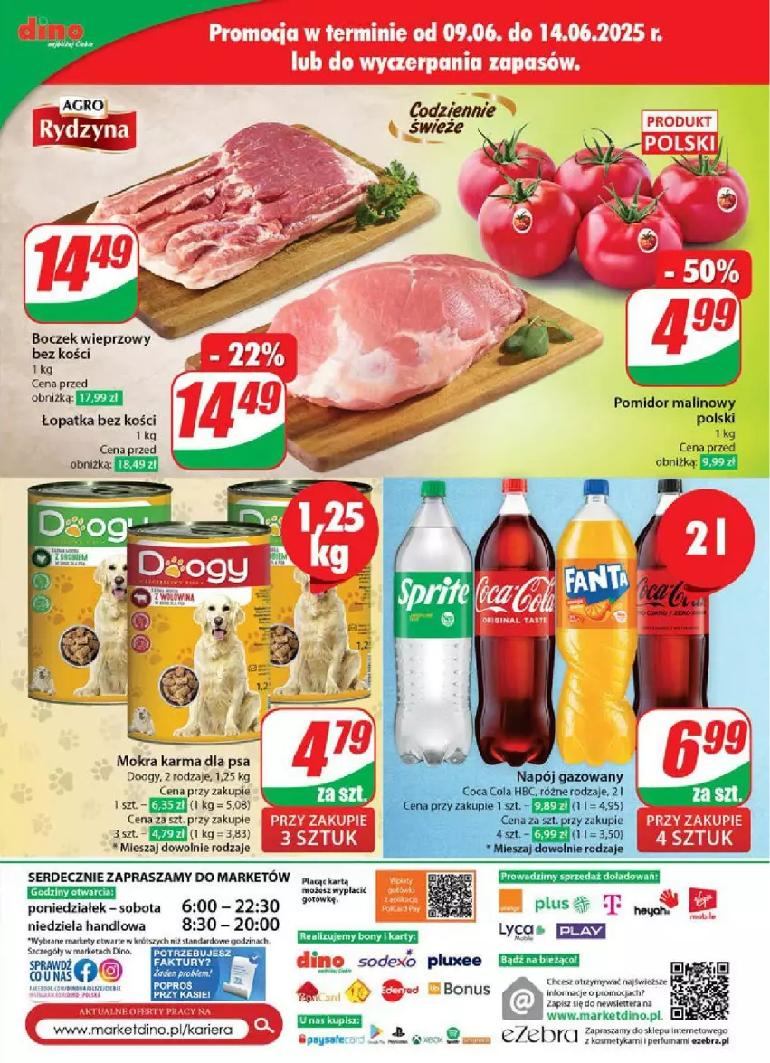 Gazetka promocyjna Dino - ważna 11.06 do 17.06.2025 - strona 71 - produkty: Boczek, Boczek wieprzowy, Fa, Mokra karma, Perfum, Pomidor malinowy, Ser, Tera