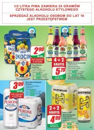 Gazetka promocyjna Dino - Gazetka - ważna od 17.06 do 17.06.2025 - strona 51 - produkty: Piwa, Piwo, Koc, Gra, Somersby, Lody, Carlsberg, Okocim, Napój