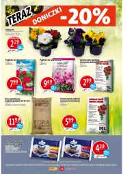 Gazetka promocyjna Prim Market - Gazetka - ważna od 27.04 do 27.04.2022 - strona 11 - produkty: Sok, Por, Cif, Storczyk
