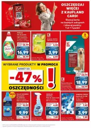 Gazetka promocyjna Kaufland - Gazetka - ważna od 03.04 do 03.04.2024 - strona 16 - produkty: Isla, Gala, Fa