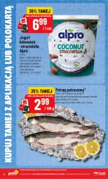 Gazetka promocyjna PoloMarket - Katalog Kupuj taniej z POLOappką - Gazetka - ważna od 04.08 do 04.08.2026 - strona 10 - produkty: Rum, Jogurt, Pstrąg, Alpro, Kokos