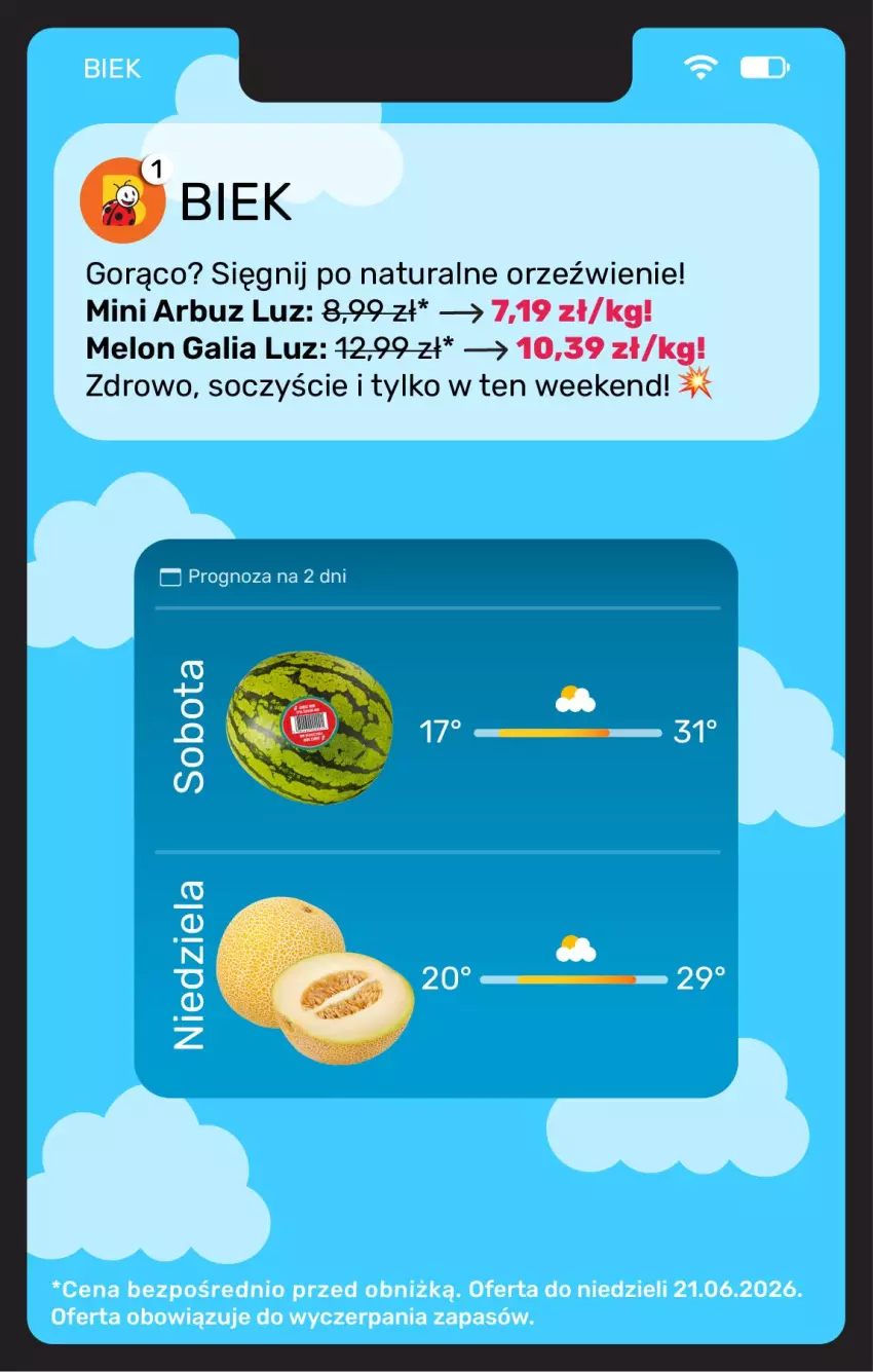 Gazetka promocyjna Biedronka - Gazetka - ważna 19.06 do 26.06.2026 - strona 20 - produkty: Arbuz, Melon
