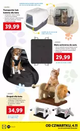 Gazetka promocyjna Lidl - GAZETKA - Gazetka - ważna od 07.11 do 07.11.2021 - strona 24 - produkty: Mata ochronna, Por, Tran, Sport, Kuweta, Drapak, Drzwi, Pokrywa, LG