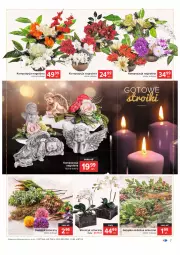 Gazetka promocyjna Carrefour - Gazetka Kwiaty i znicze - Gazetka - ważna od 24.10 do 24.10.2021 - strona 7 - produkty: Virtu, Storczyk