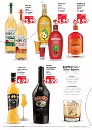 Gazetka promocyjna Kaufland - Barek Kauflandu - Gazetka - ważna od 12.11 do 12.11.2025 - strona 9 - produkty: Gin, Mionetto, Advocaat, Soplica, Likier jajeczny, Likier