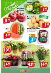 Gazetka promocyjna Prim Market - Gazetka - ważna od 28.05 do 28.05.2025 - strona 6 - produkty: Buraczki, Sok, Róża, Ziemniaki, Storczyk, Pomidory