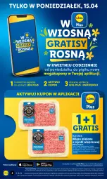 Gazetka promocyjna Lidl - GAZETKA - Gazetka - ważna od 17.04 do 17.04.2024 - strona 4 - produkty: Mięso mielone z szynki, Mięso mielone, Gra, Olej, Mięso