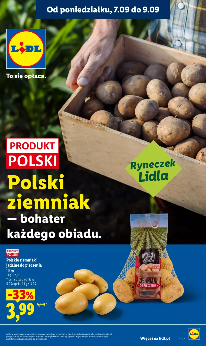 Gazetka promocyjna Lidl - Gazetka ważna od 7.09 do 9.09 - ważna 07.09 do 09.09.2026 - strona 31 - produkty: Piec, Ziemniaki